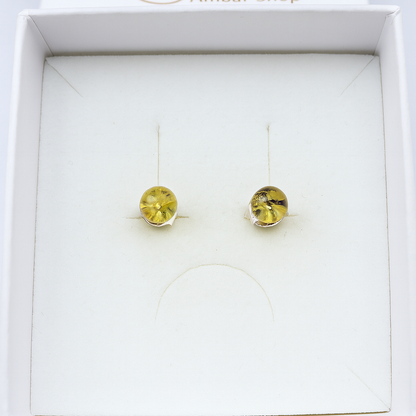 Brincos Green Glow – Âmbar Báltico